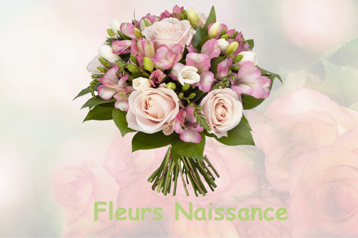 fleurs naissance NEONS-SUR-CREUSE