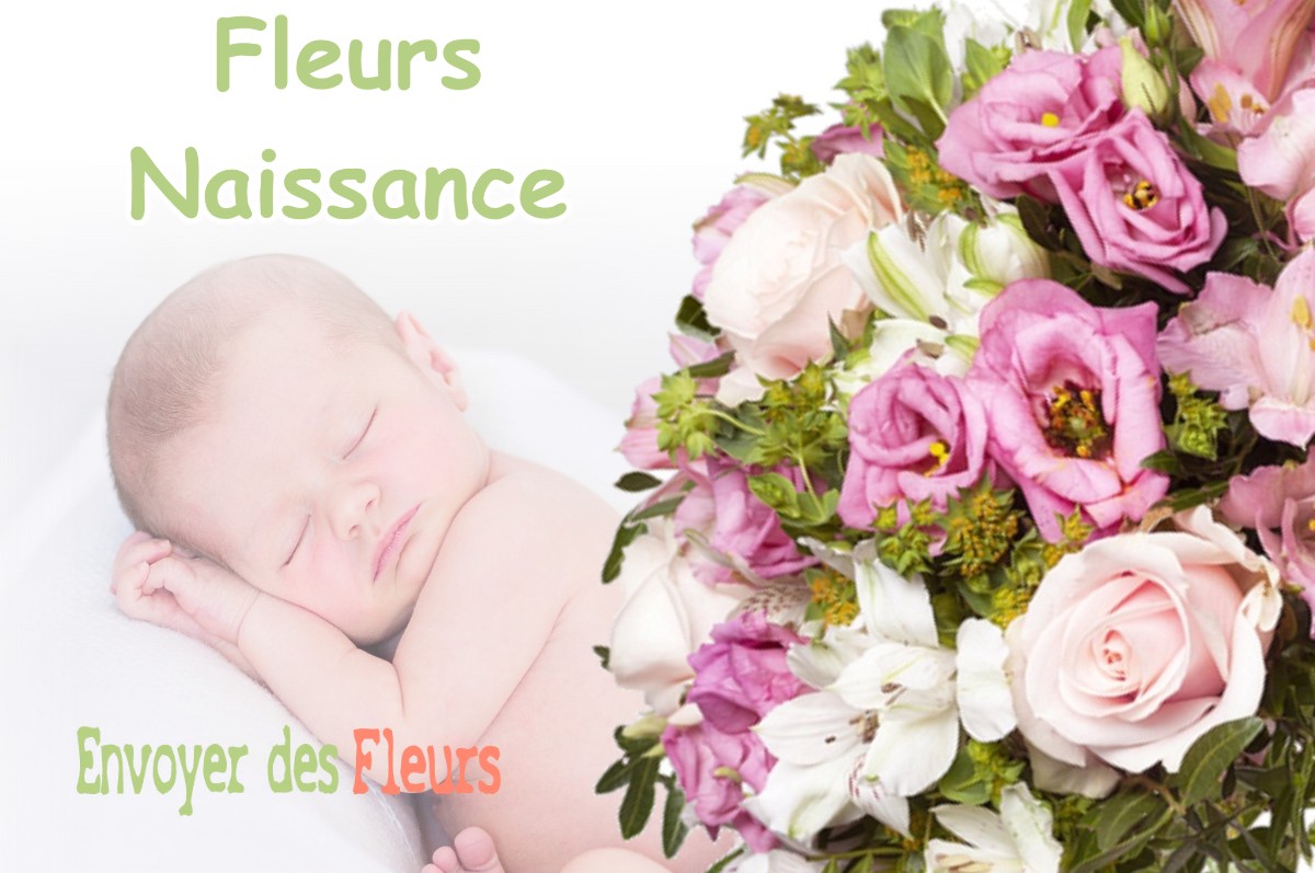 lIVRAISON FLEURS NAISSANCE à NEONS-SUR-CREUSE